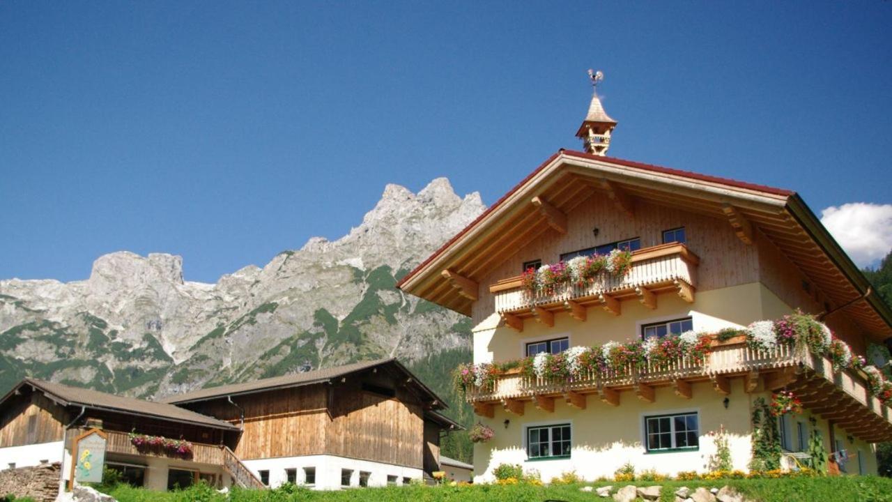 Bio Bauernhof Vorderoberlehen Hotel Werfenweng Buitenkant foto