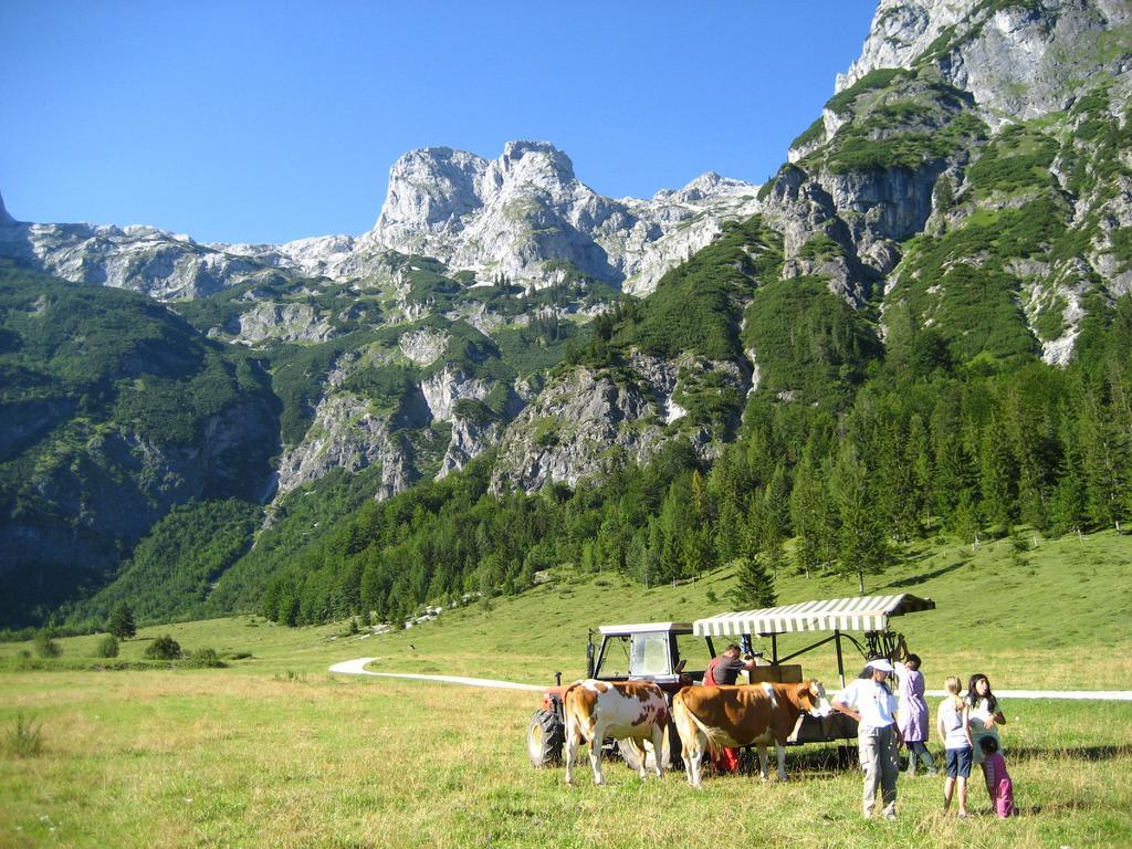 Bio Bauernhof Vorderoberlehen Hotel Werfenweng Buitenkant foto