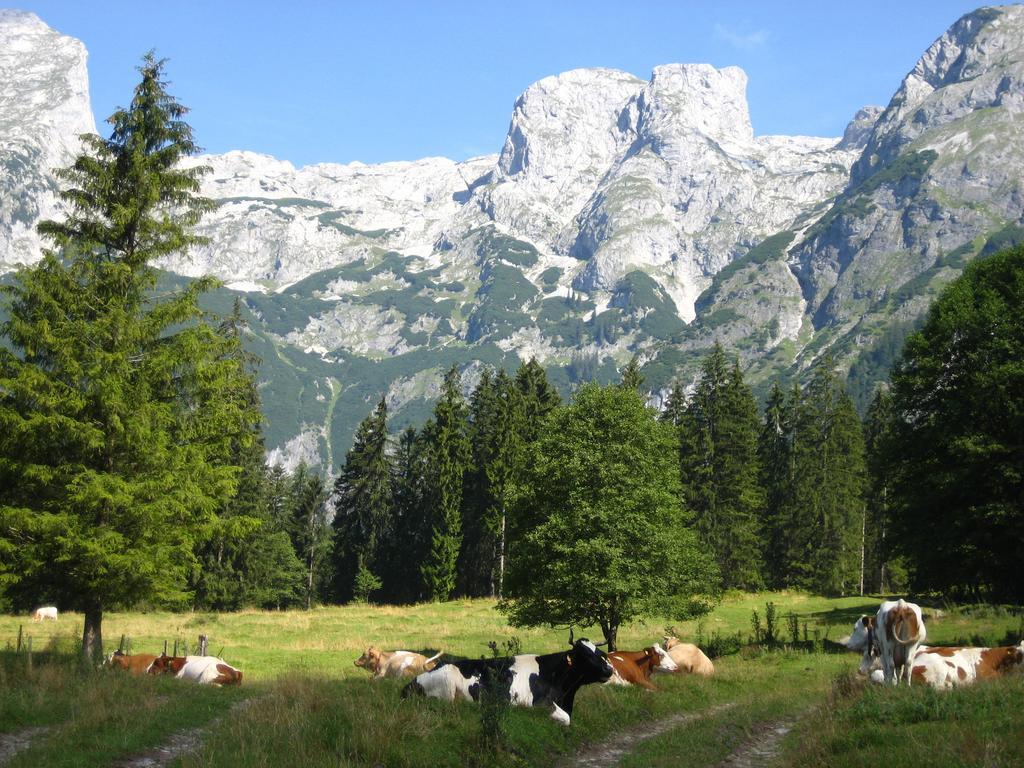 Bio Bauernhof Vorderoberlehen Hotel Werfenweng Buitenkant foto