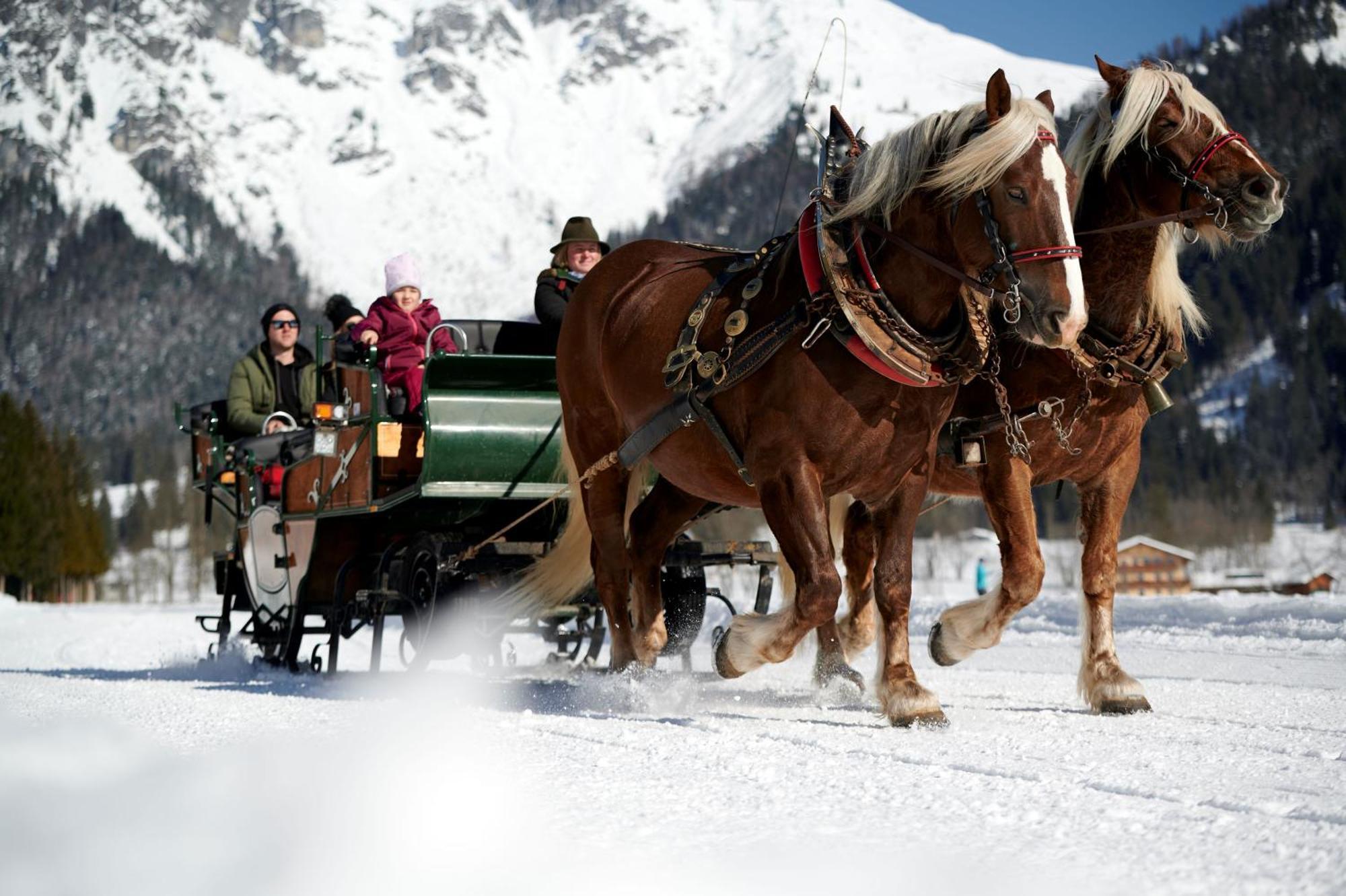 Bio Bauernhof Vorderoberlehen Hotel Werfenweng Buitenkant foto