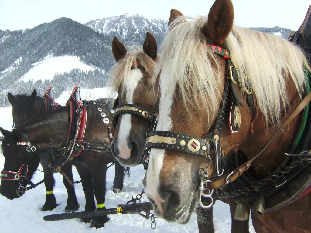 Bio Bauernhof Vorderoberlehen Hotel Werfenweng Buitenkant foto