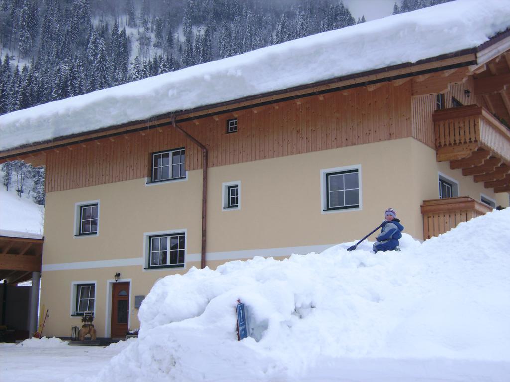 Bio Bauernhof Vorderoberlehen Hotel Werfenweng Buitenkant foto