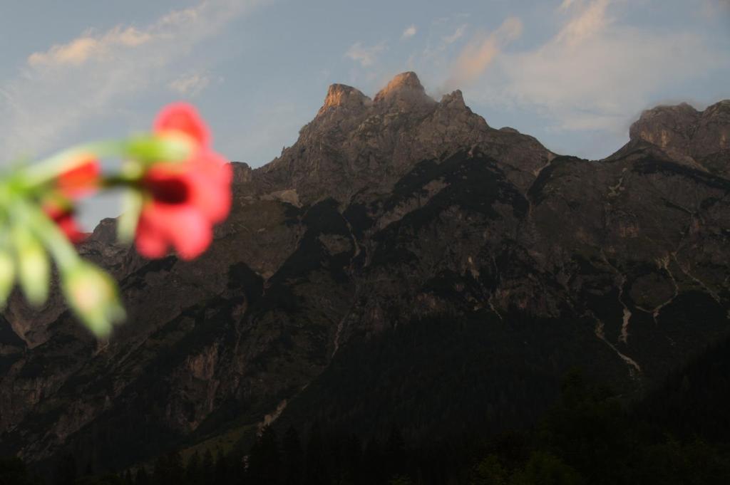 Bio Bauernhof Vorderoberlehen Hotel Werfenweng Buitenkant foto