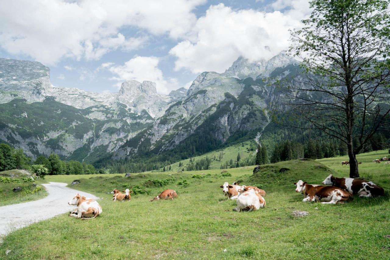 Bio Bauernhof Vorderoberlehen Hotel Werfenweng Buitenkant foto