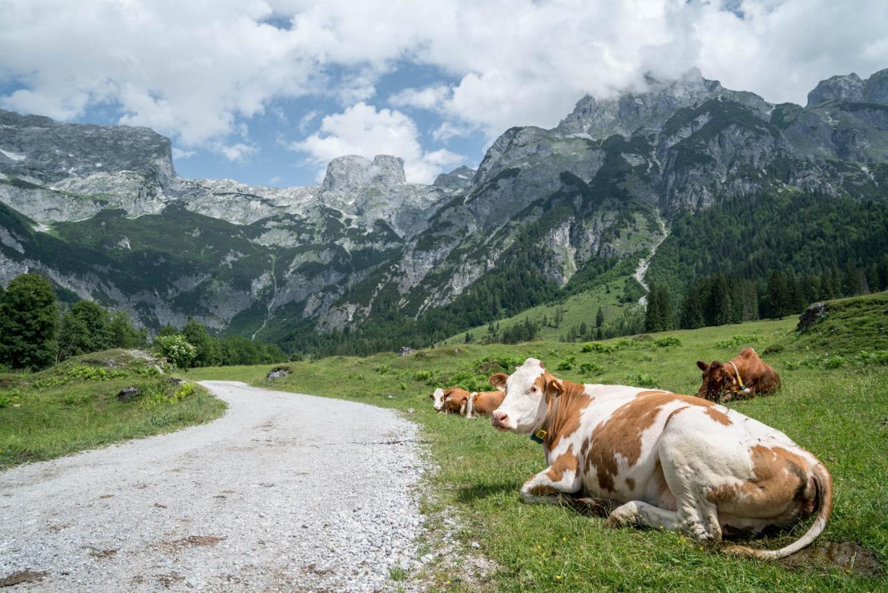 Bio Bauernhof Vorderoberlehen Hotel Werfenweng Buitenkant foto